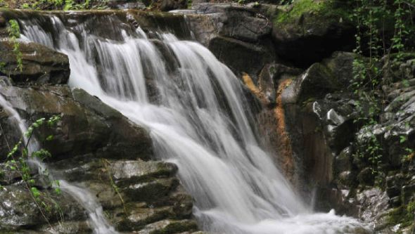 To全世界:灵宝向您发来一封邀请函,请亲启