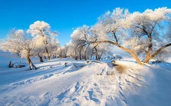 自驾游挑战最冷的极限,挑战最冷地区车上睡觉