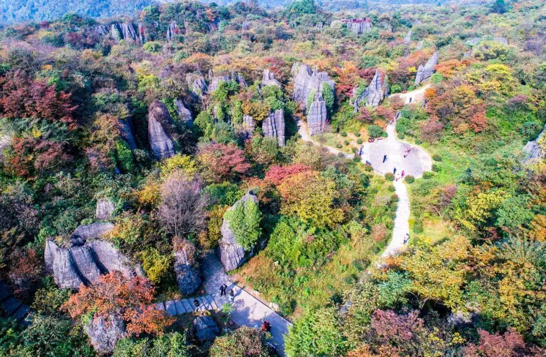 重庆人去哪里避暑最合适,重庆人适合出去避暑地方推荐