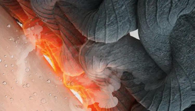 保暖衣女款加绒北极熊,鹅绒做保暖衣