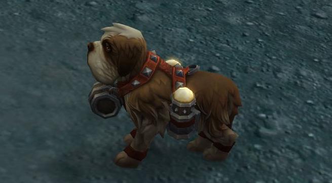 暴雪魔兽世界慈善,魔兽世界慈善宠物