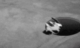 拿妇炎洁治痘？痔疮膏去黑眼圈？小红书就是个坑