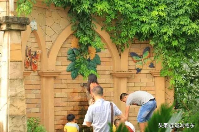 深圳南山区青青世界视频,青青世界深圳热带雨林