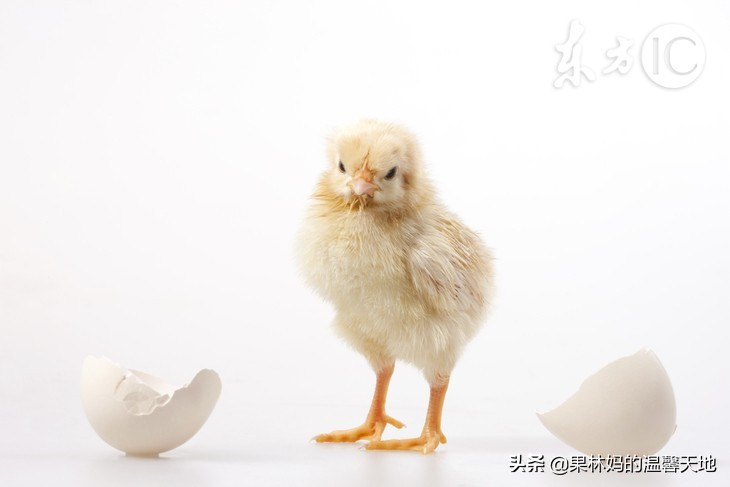 我的妈妈不完美但是很了不起，常有人问我她是不是吃了长生不老药