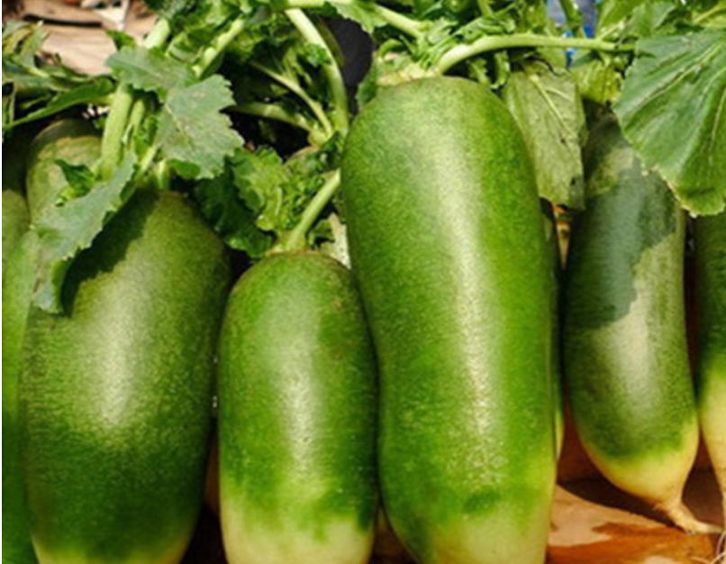 水果萝卜和凤梨萝卜哪个好吃,水果萝卜怎样种植好吃