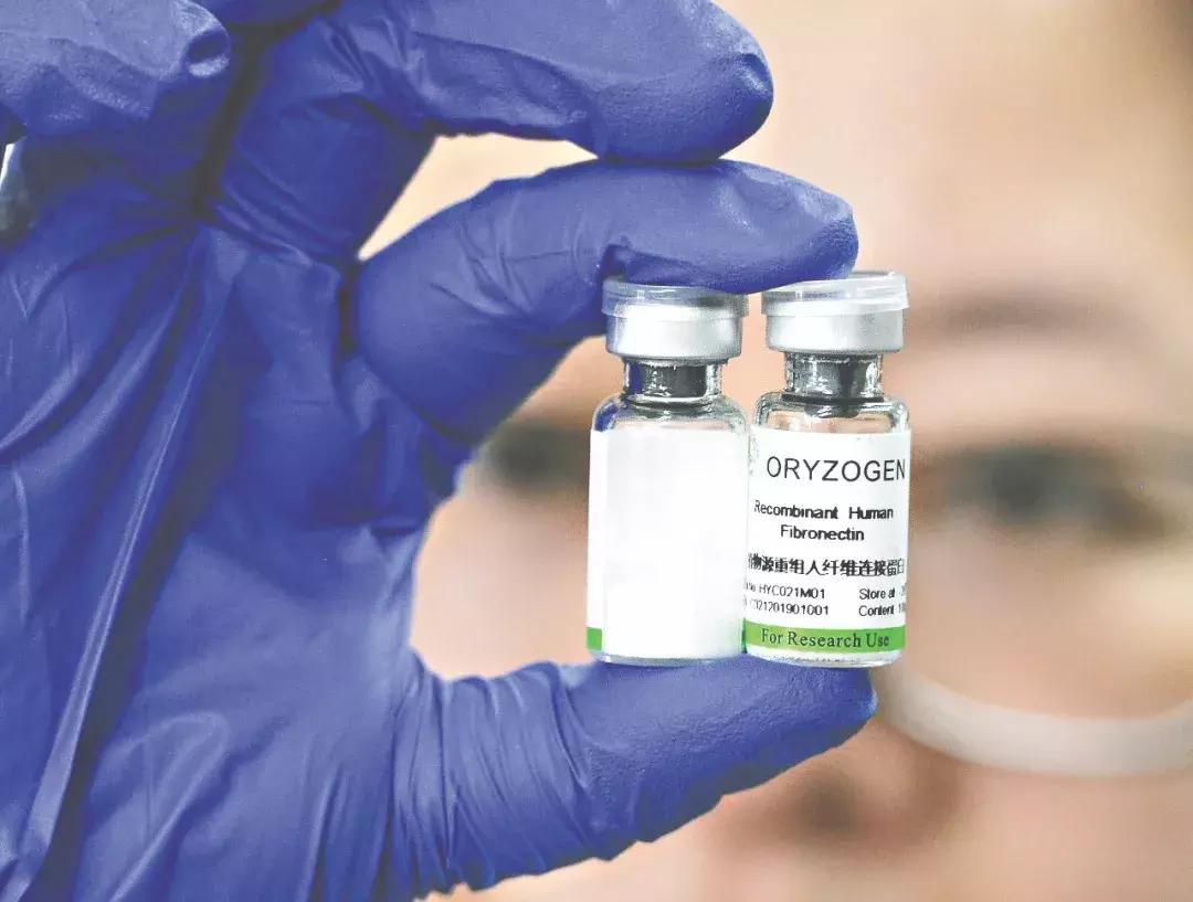 光谷2024年发展,光谷全面爆发的一年