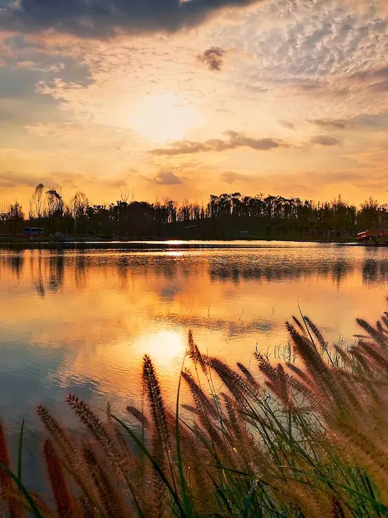 成都十大绿道旅游线路推荐,成都绿道最佳观赏地点