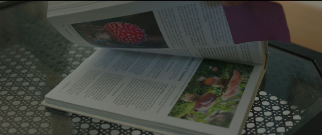 除了狂欢、励志、把妹，青春片竟然还能这么拍