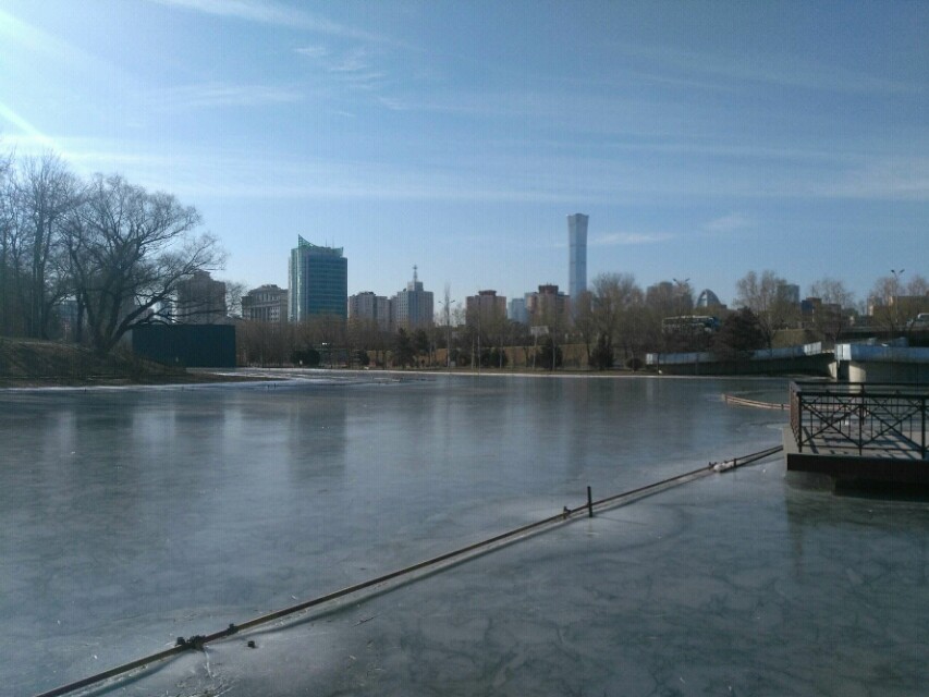 畸形的爱,畸形的爱情电影