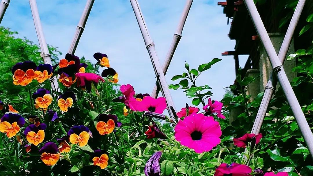 新微商如何做活动策划方案,微商生涯打造方案