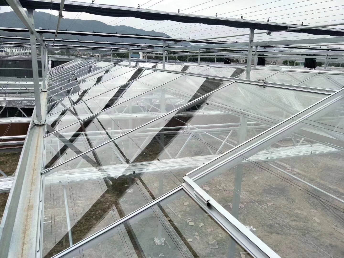 单栋温室大棚建设造价多少钱,连栋温室大棚造价多少钱一平