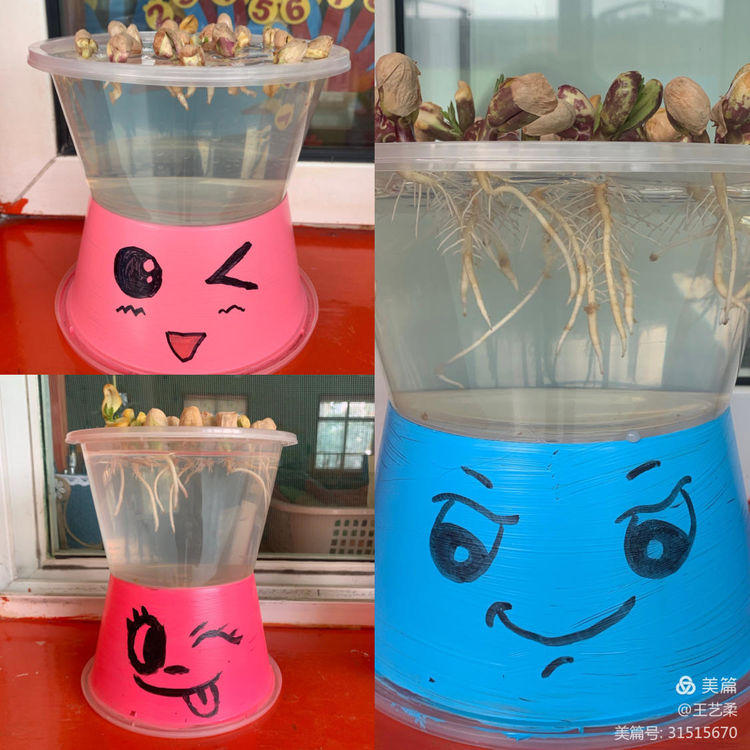 幼儿园自然角全景创设,幼儿园自然角的创设介绍