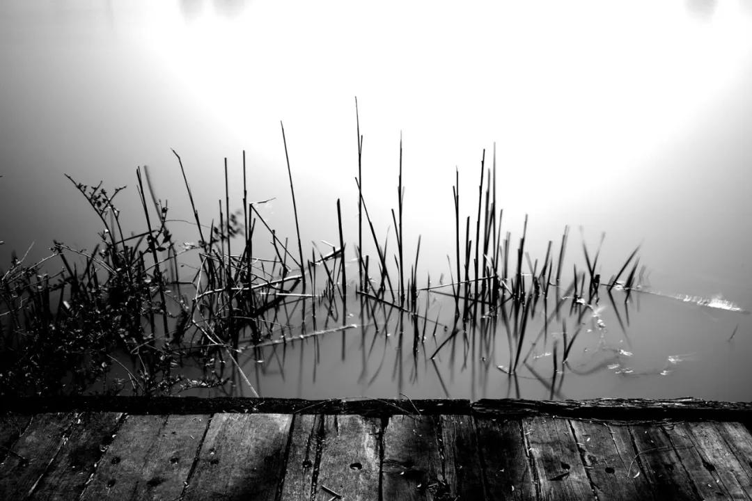 津门网金熙男:宁静的太子河