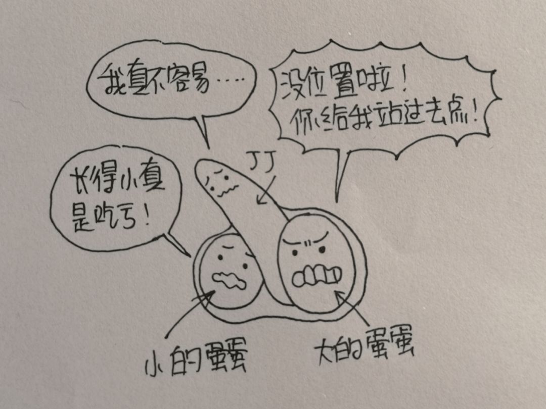 结婚前！这10个要点，男女最好知道一些！