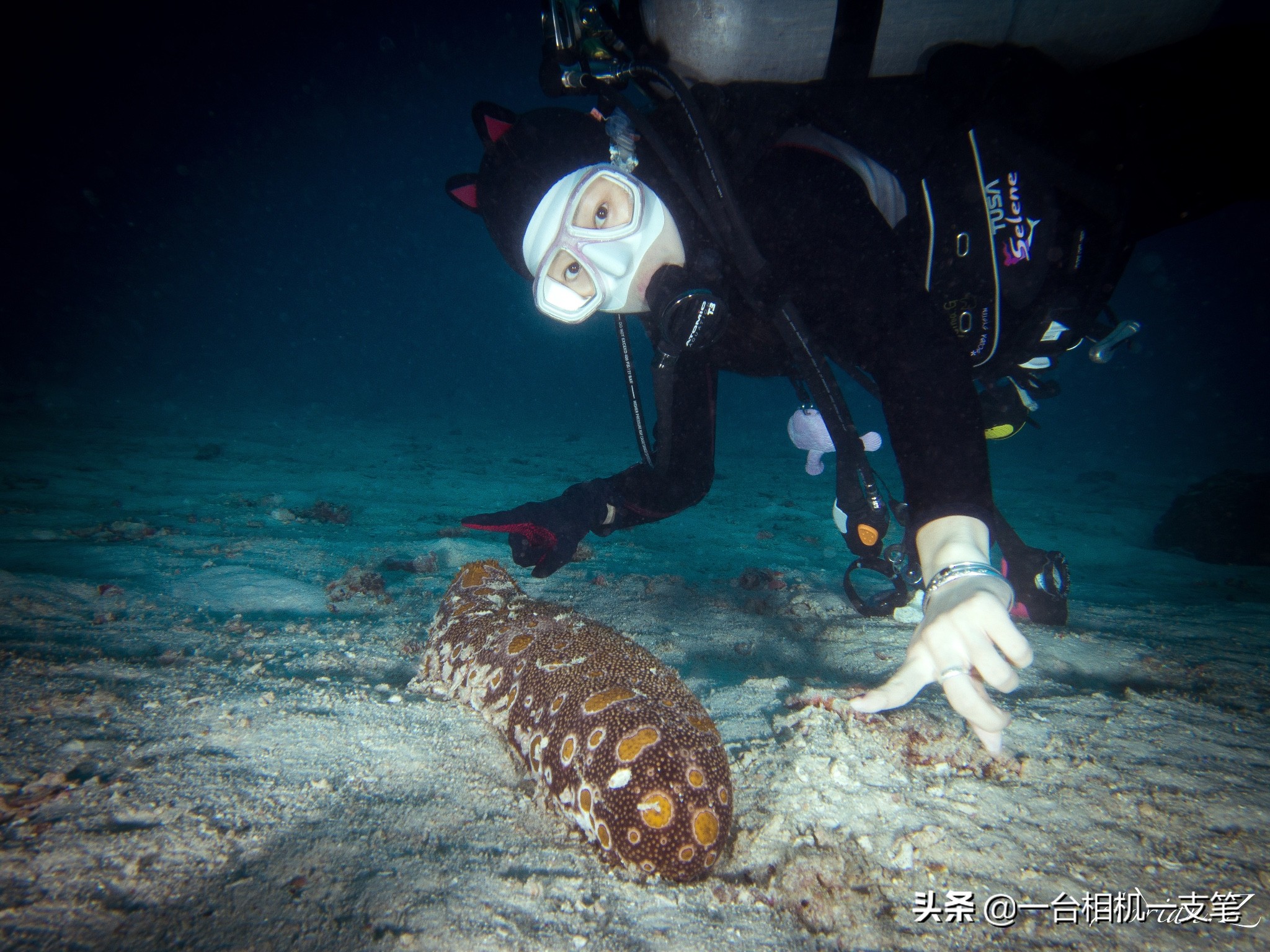 马来西亚小众海岛,马来西亚适合隐居的海岛