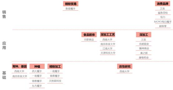魔芋食品的发展前景,魔芋产品市场前景