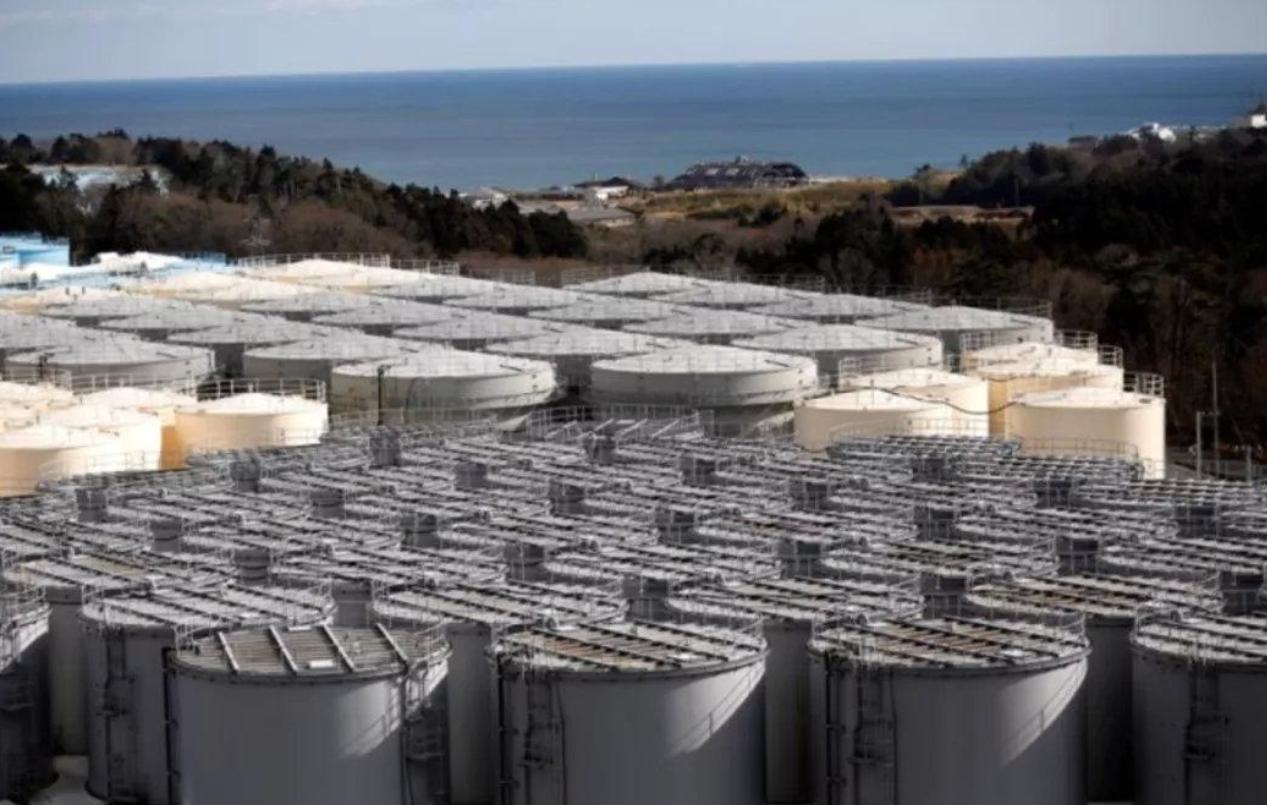 双头龟是由于基因突变导致的,日本被核辐射基因突变的乌龟