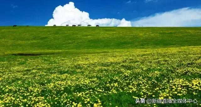 *疆新**人这么牛逼，你不知道吧