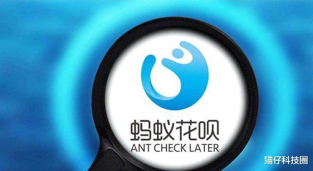 花呗全面接入征信有什么好处,花呗全面接入征信同意还是不同意