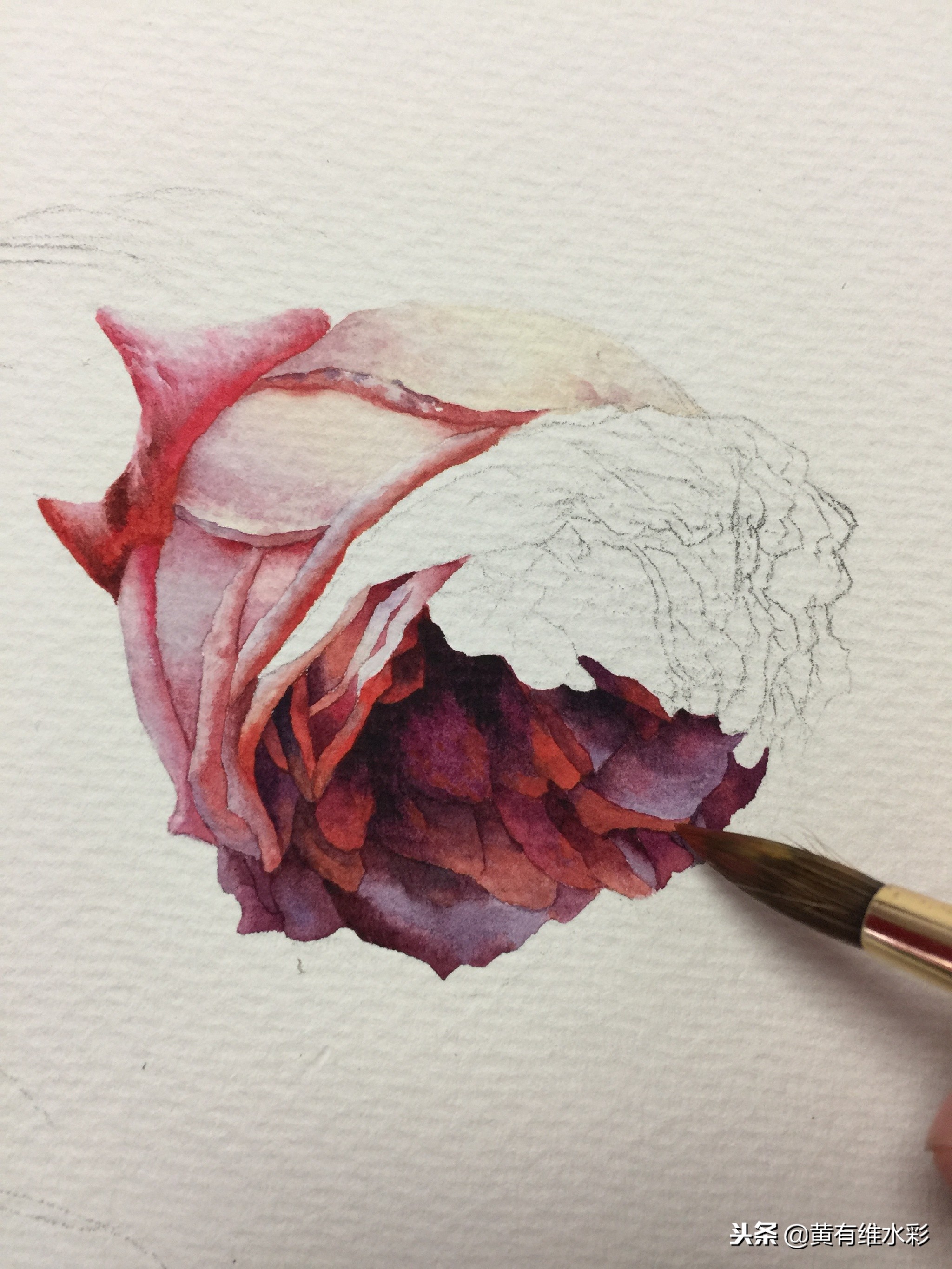 水彩教程简单好看手绘图片,水彩教程画花