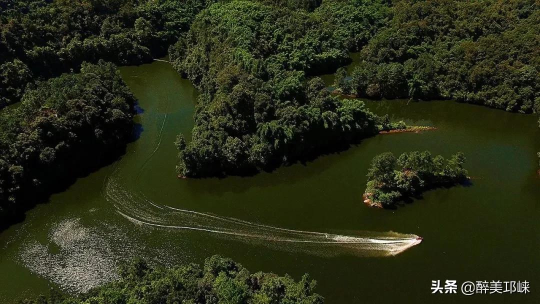 为什么有的人投资眼光很准,为什么越来越多的资本想投资酱酒