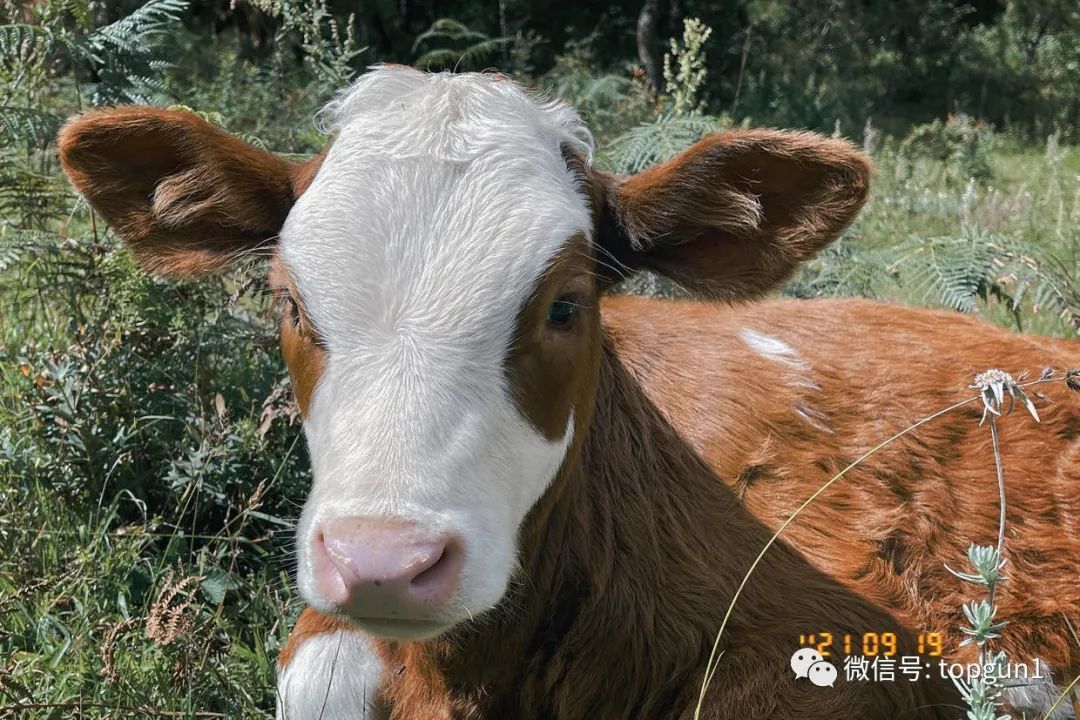 9月假期,9月很忙的句子