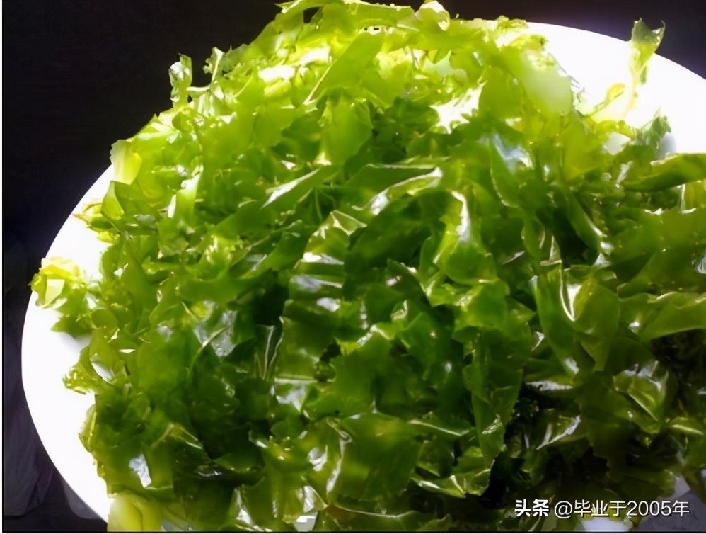 从客观角度说说海参,客观的角度说一说海参