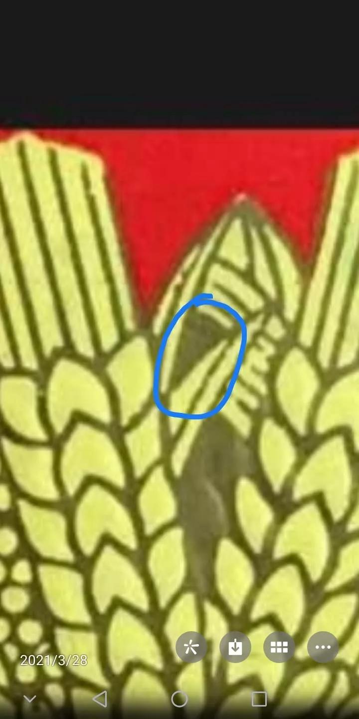 认识一下车标,最新五粮液萝卜瓶全系列