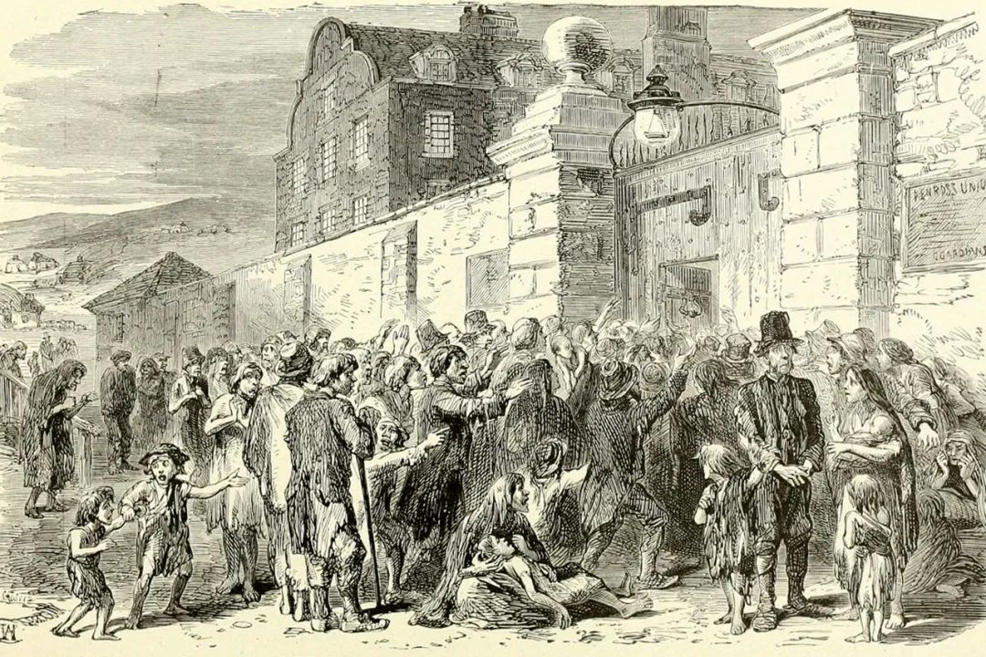 爱尔兰饥荒是由什么引起的,爱尔兰的饥荒是怎么回事