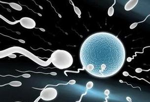 在女性体内，那些没遇到小蝌蚪的卵子去哪了？答应我，害羞也要看