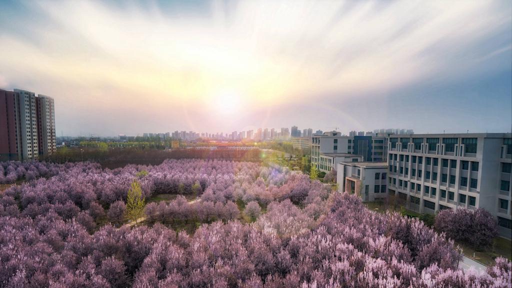 这所学校,背靠“三桶油”,综合实力突出,就业无忧