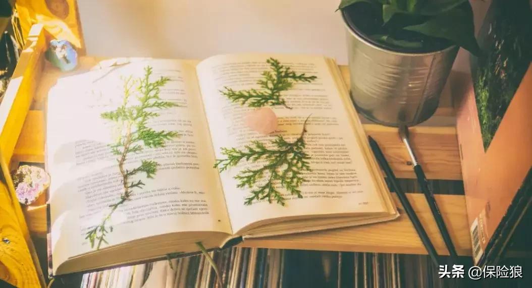 泰康健康尊享b款缺点,泰康保险感悟