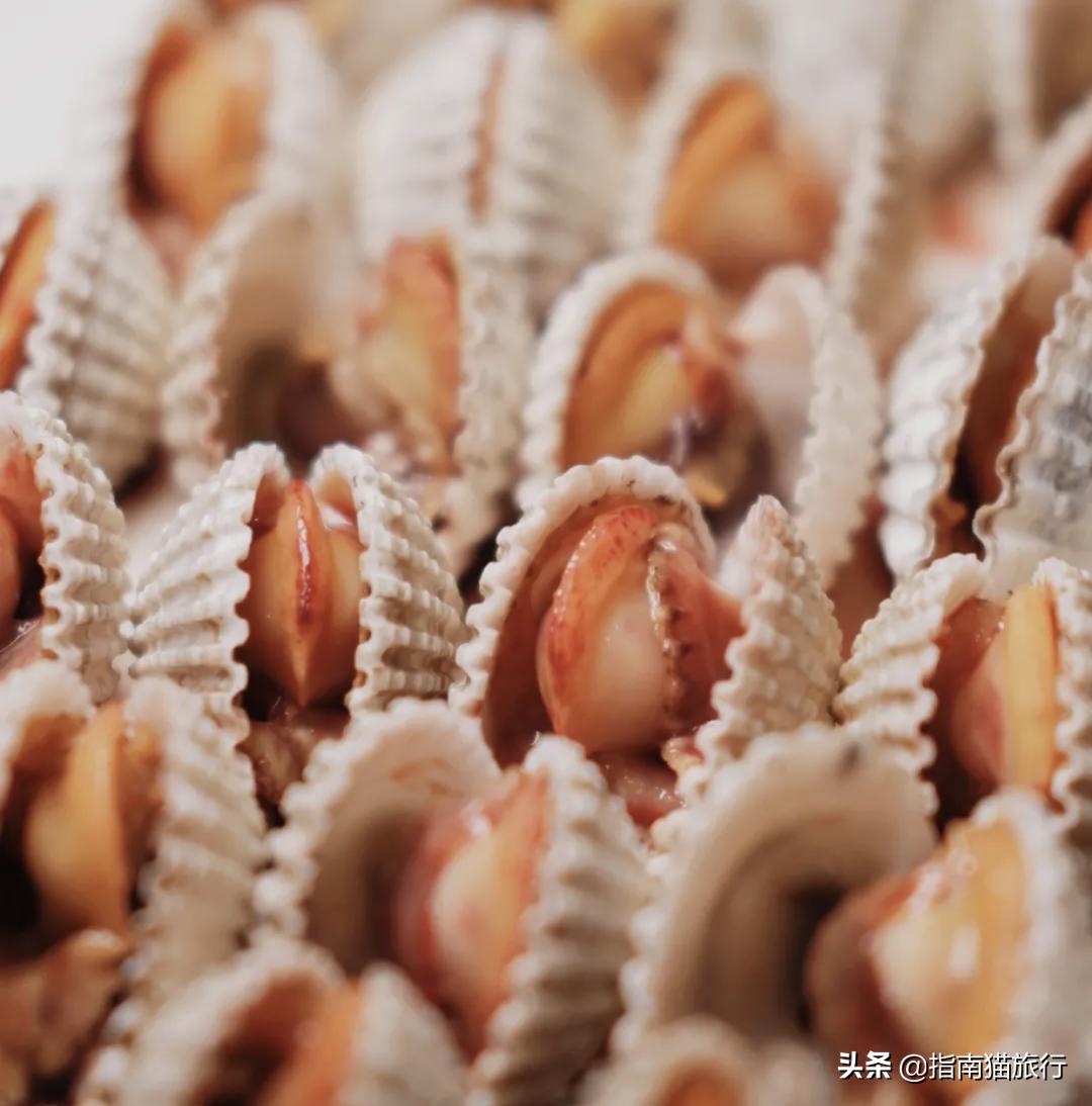 夏天去哪个海边吃海鲜最合适,适合吃货去的海边城市