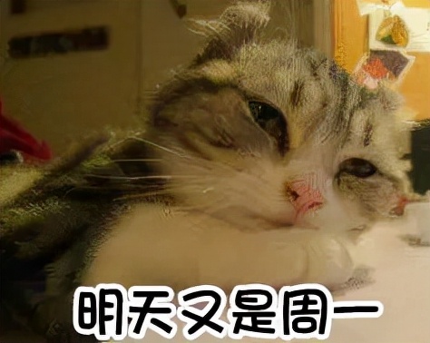 海报的设计思路和灵感,如何设计一张高逼格的海报