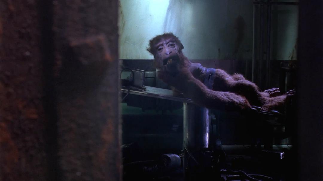 疯神动画解析,疯神科幻电影