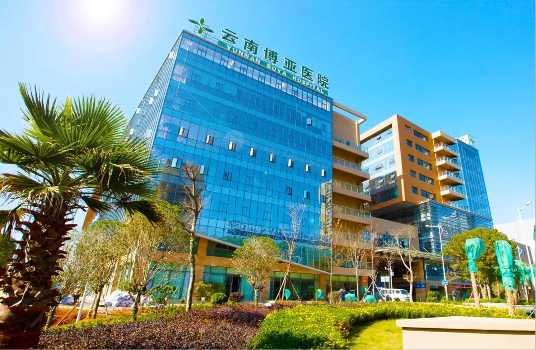 医疗集团和区域医疗中心,连锁医疗中心