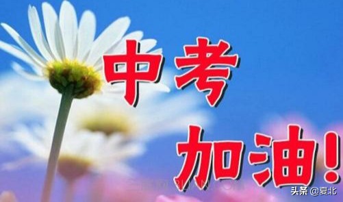 中考语文必考词语专项训练,中考语文词语运用解题方法