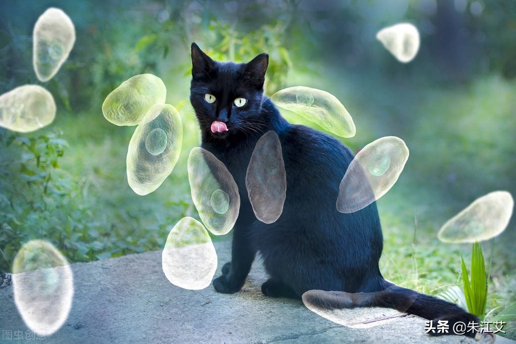 怀孕期间应该怎么注意孕妇的心理,怀孕8个月孕妇饮食注意事项