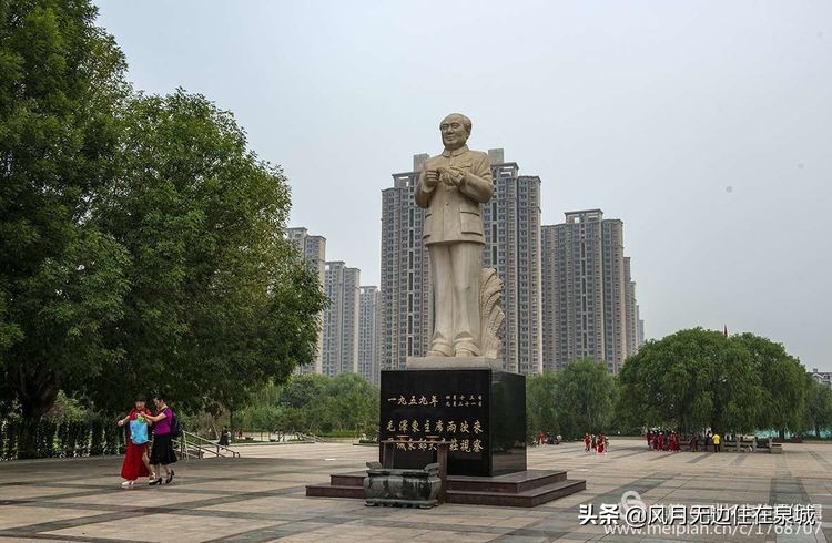 济南一颗梧桐树,济南的法国梧桐