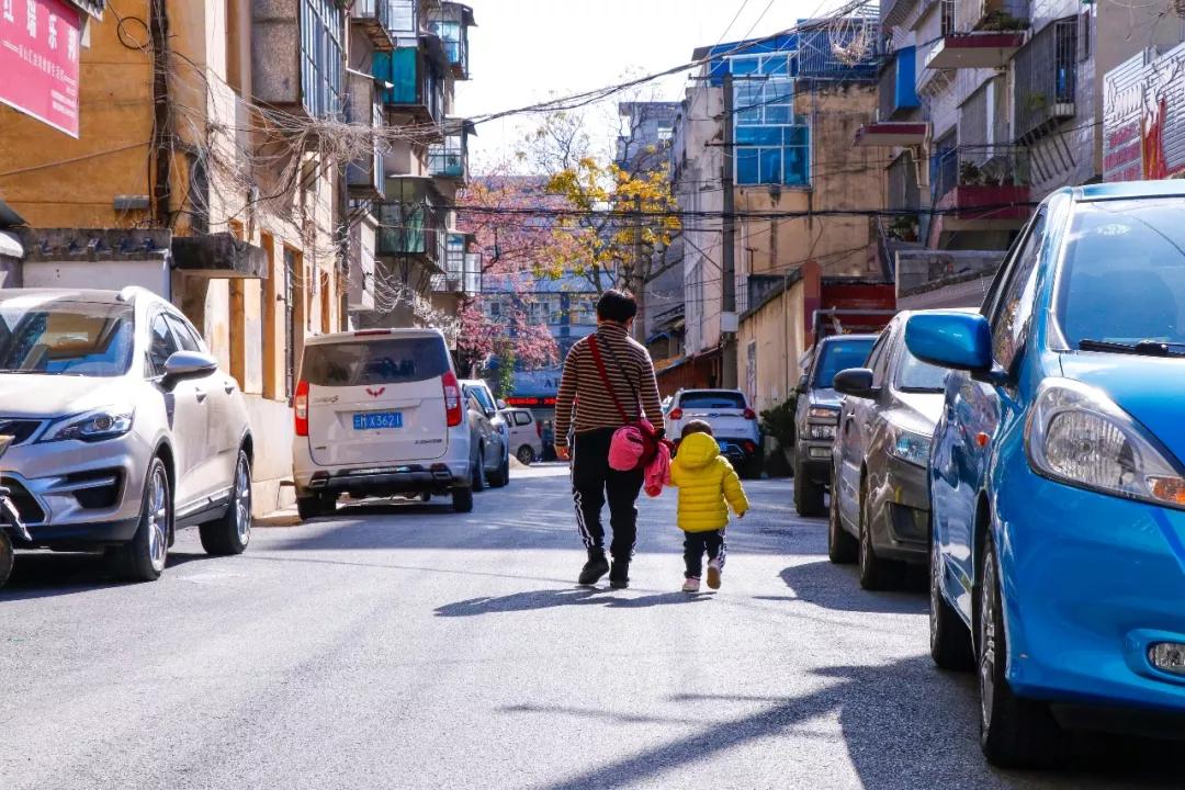 这是一个充满生机的公园怎么说,这是一个充满生机的国度朗诵