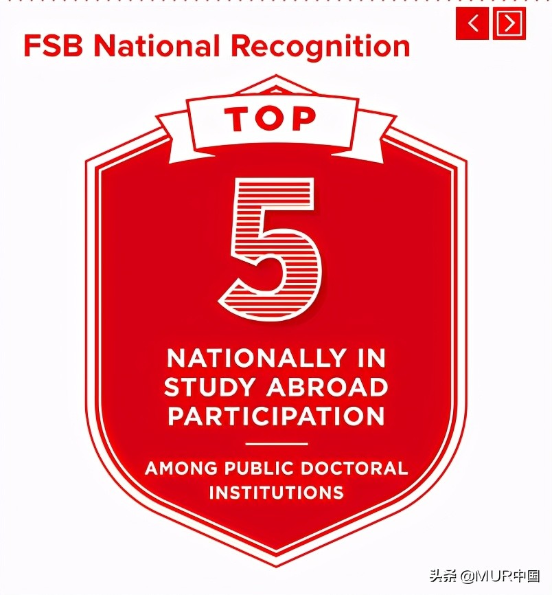 全球四大会计师事务所之一的普华永道，缘何如此钟情迈大学子？