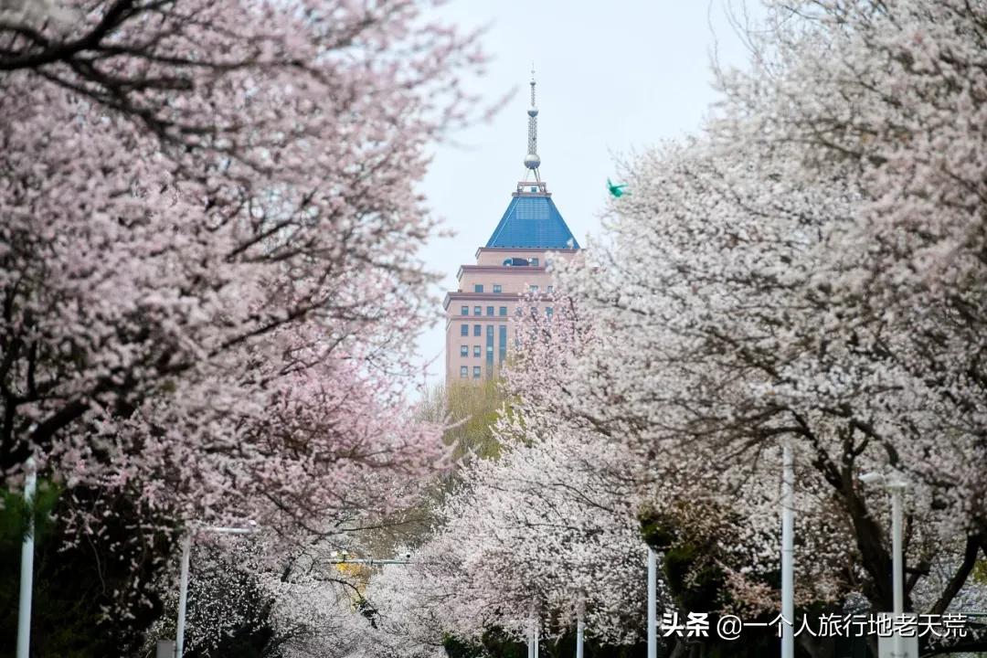 清明旅游一日游攻略,清明旅游三日游攻略