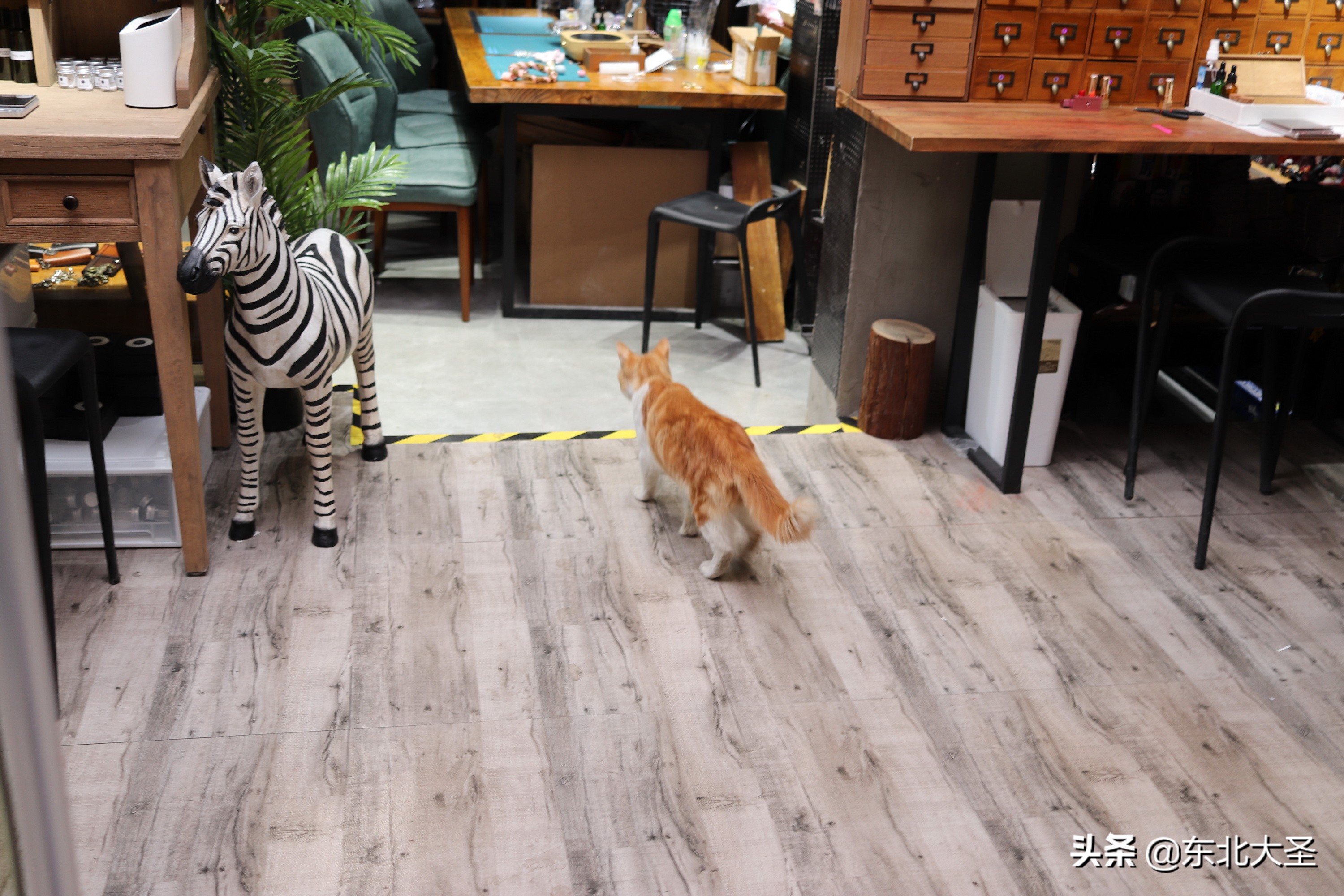 西湖迪士尼自由行攻略,上海南京杭州5日游攻略迪士尼