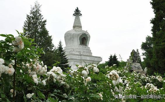 沈阳四个塔详细介绍,沈阳四塔哪个塔最好