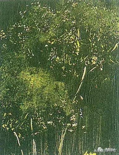 干货油画的入门技法,白羽平油画风景技法