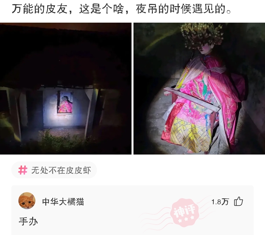 脑洞找茬相亲,相亲有压力怎么化解