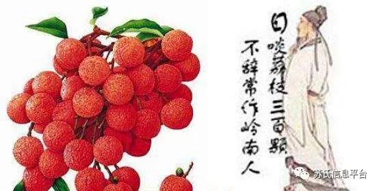 「苏商名片」茂名苏氏土特产有限公司「新品上市…快」