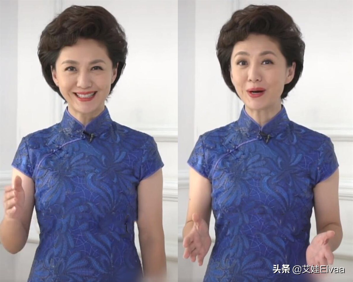 央视海霞穿旗袍,海霞旗袍