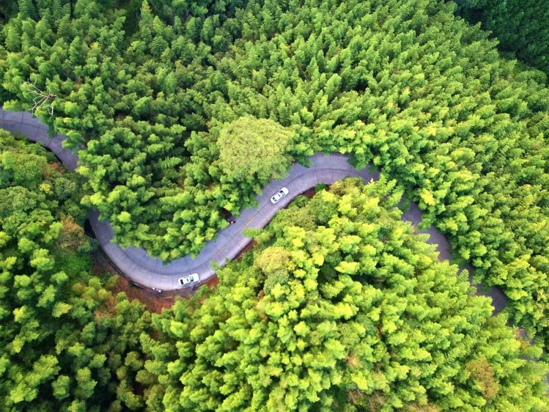 韶关市在广东省经济排名如何,韶关经济发展状况