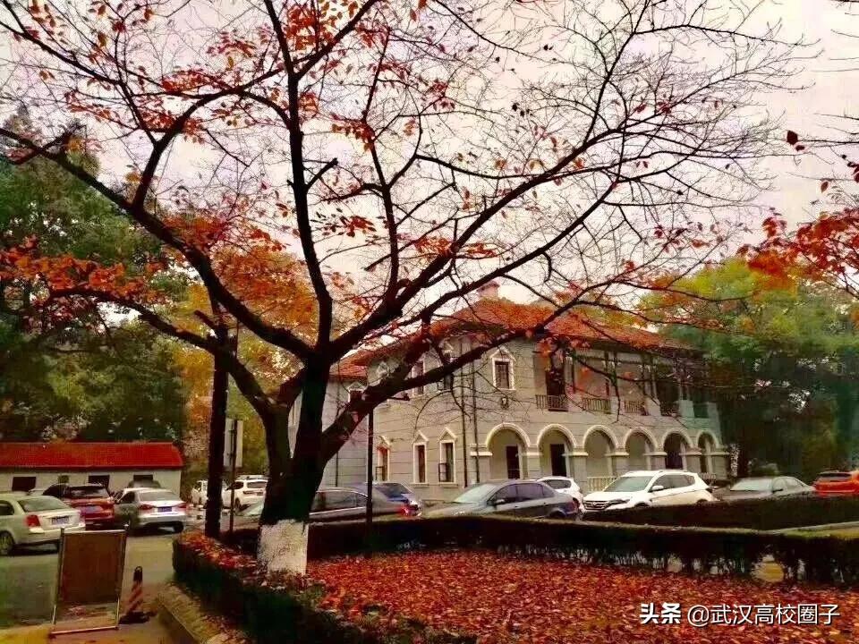 湖北中医药大学，是湖北省唯一一所高等中医药本科院校